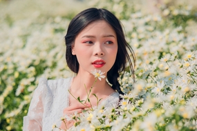 白色小雏菊花海美女写真图片